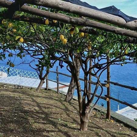 Villa Chez Amélie Amalfi Exterior foto